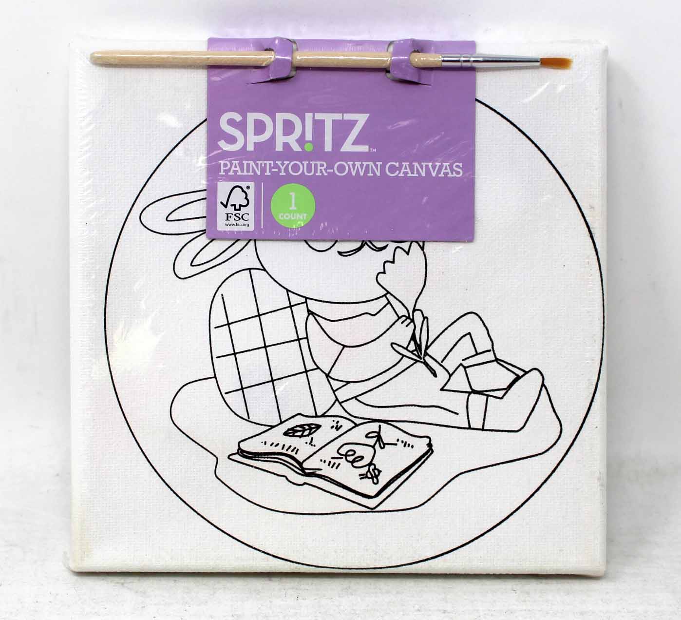 Spritz Paint Your Own Canvas Set 1 Count