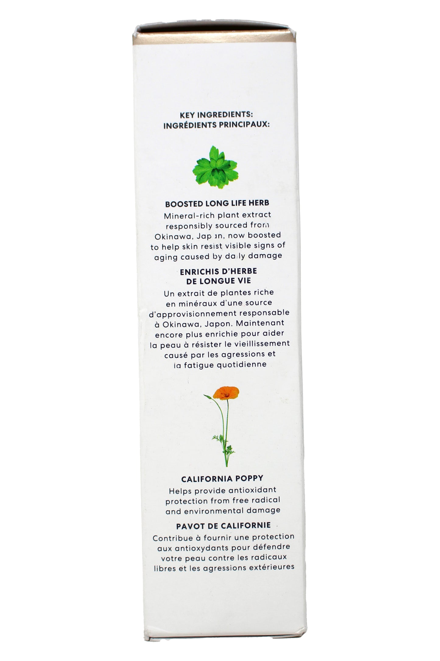 bareMinerals Skinlongevity Long Life Herb Serum 1.7 Ounces