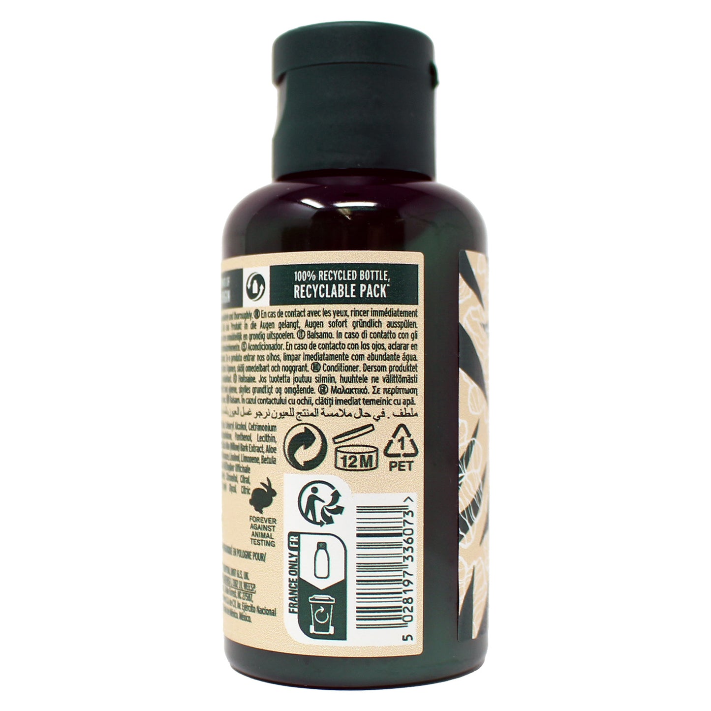The Body Shop Ginger Conditioner 2 Ounces