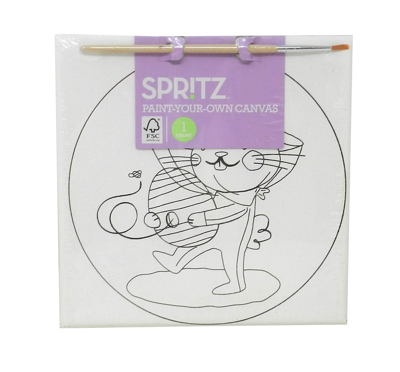 Spritz Paint Your Own Canvas Painting Set