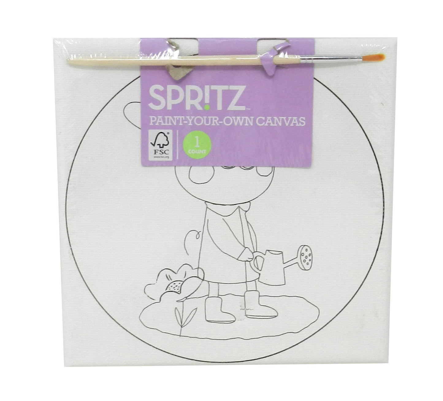 Spritz Paint Your Own Canvas Painting Set