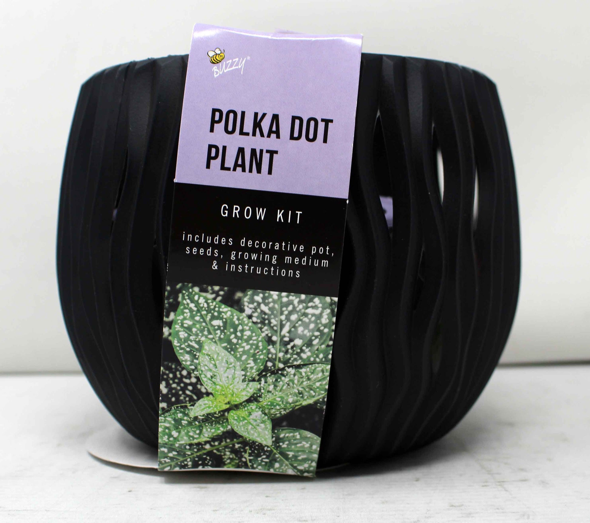 Buzzy Polka Dot Plant Grow Kit