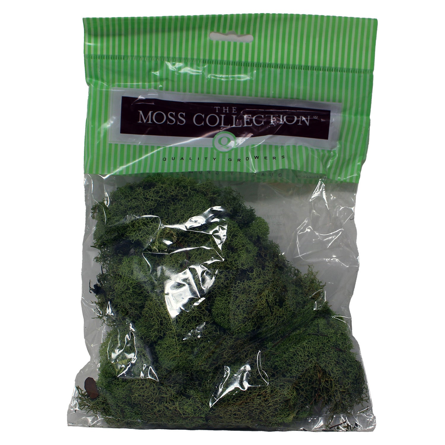 Quality Growers Reindeer Spring Green Moss 1 Count