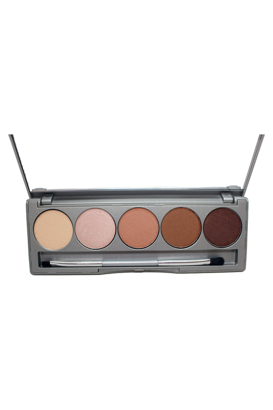 Colorescience Beauty On The Go Palette 5 Neutralizing Makeup Shades 0.31 Ounce